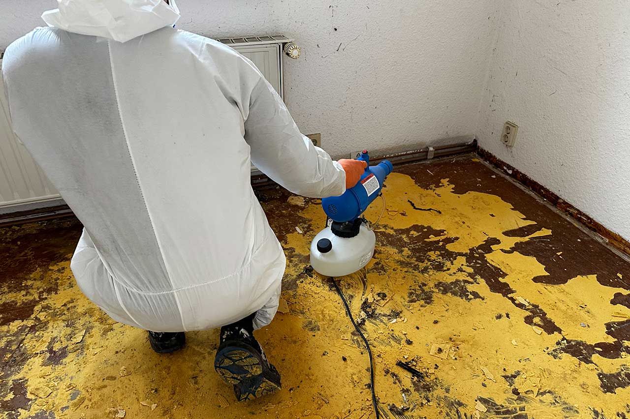 Schimmelentfernung Leipzig Schimmelbeseitigung