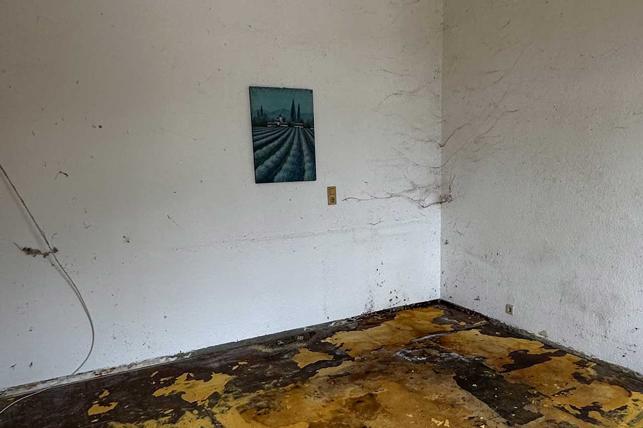 Entrümpelung nachher